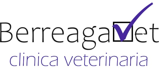 BerreagaVet – Clínica Veterinaria